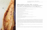 de tejidos humanos en instrumentos rituales prehispánicos de … · 2019-09-30 · Identificación de restos de tejidos humanos en instrumentos rituales prehispánicos de México