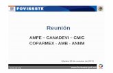 Reunión Amfe Canadevi Cmic Videoconferencia Martes 26 Oct ... · elaborando un manual con lineamientos que se aplicarán en esta ... Respaldados 461 70.7 TOTAL 58,584 26,580.6. Avance
