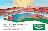 Ficha Didáctica 13 - ODS Extremadura · 2018-06-11 · El clima de la Tierra está cambiando. La temperatura media del planeta está aumentando debido al incremento de las emisiones