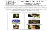 FLORA Y FAUNA DE CIUDAD EVITA - (La ... · flora y fauna de ciudad evita relevadas al: 30/03/2014 para que puedan conocer los tesoros de nuestra reserva natural, gratuitamente y con