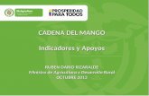CADENA DEL MANGO Indicadores y Apoyos...volumen considerable de mango importado del Ecuador. El precio más alto se registró la ultima semana de Agosto con $1.455/Kg en Coorabastos,