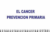 PREVENCION PRIMARIA DEL CANCER - Leganés · 2011-05-19 · PREVENCION PRIMARIA DEL CANCER Aunque existe una predisposición genética para este tipo de enfermedades, se puede afirmar