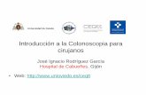 José Ignacio Rodríguez García Hospital de Cabueñes. Gijón Web: … · 2012-11-26 · Situaciones y criterios de inadecuación para la solicitud y realización de colonoscopia: