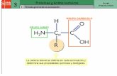 Diapositiva 1 - Castilla-La Manchacepa-losllanos.centros.castillalamancha.es/sites/cepa...Proteínas ácidos nucleicos Bio logia 20 BACHILLERATO En una disolución acuosa (pH neutro)