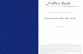 Feller-Rate INFORME DE CLASIFICACIÓN...posee un adecuado suministro de materias primas, provenientes de yacimientos propios de caliza o de contratos de abastecimiento comprometidos