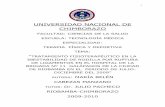 UNIVERSIDAD NACIONAL DE CHIMBORAZOdspace.unach.edu.ec/bitstream/51000/882/1/UNACH-EC-TER... · 2016-03-09 · ligamento cruzado posterior 25 ligamento lateral interno 27 clasificación