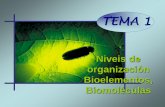 Niveis de organización Bioelementos, Biomoléculas 1... · 2020-04-20 · Niveis de organización • A este nivel tamén pertencen las macromoléculas e as organizacións supramoleculares.As