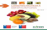 Catastro frutícola - Región de Coquimbo 2018€¦ · CATASTRO FRUTÍCOLA / PRINCIPALES RESULTADOS / Región de Coquimbo / Julio 2018 13 Tamaño de las explotaciones (ha) CHOAPA