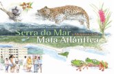 Serra do Mar Mata Atlánticaarquivos.ambiente.sp.gov.br/english/2015/04/Serra... · Las especiales características de la región le dan la tónica al proyecto socioambiental, que