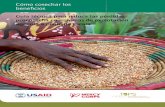 Cómo cosechar los beneficios - FSN Network · cultivos de grano, frutas, vegetales, raíces y tubérculos. ... de las plagas utilizar perlas antihumedad de zeolita para reducir la