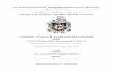 UNIVERSIDAD NACIONAL AUTÓNOMA DE NICARAGUA, …repositorio.unan.edu.ni/11637/1/19771.pdfReglamento de sistema de estudios de posgrado y educación continua SEPEC-MANAGUA, aprobado
