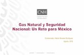 Gas Natural y Seguridad Nacional: Un Reto para México · Roca Generadora Enestetipodeyacimientosla velocidad de extracción dependedelapermeabilidad delarocaylapresión Roca Almacén.