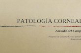 patología cornealR1.ppt [Modo de compatibilidad]€¦ · epitelio +/epitelio +/- íntegro La perineuritis es pa Infiltrados confluyen alt. epitelial Aparece edema corn ... Tipos: