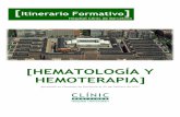 [HEMATOLOGÍA Y HEMOTERAPIA]€¦ · [2] ITINERARIO FORMATIVO DE HEMATOLOGÍA Y HEMOTERAPIA Documento elaborado por los Tutores de Residentes: Dra. M. Teresa Cibeira (Servicio de