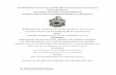 UNIVERSIDAD NACIONAL AUTÓNOMA DE NICARAGUA, …repositorio.unan.edu.ni/8441/1/18641.pdf · Auditoria (NIA’s)” y subtema Debilidades materiales del sistema de control interno