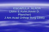Facultad de Medicina UANL - ESCAPULA ALADA (John … · 2014-11-05 · Primaria, origen neurológico: Trapecio alado- ... Dificultad para elevar el brazo >120°. El dolor aumenta