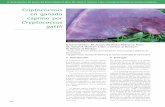Criptococosis en ganado caprino por Cryptococcus gattiiaxonveterinaria.net/web_axoncomunicacion/... · En la realización de la necropsia, las principales alteraciones anatomopatoló-gicas
