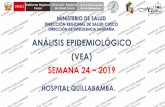 ANÁLISIS EPIDEMIOLÓGICO (VEA) SEMANA 24 ~ 2019hospitalquillabamba.gob.pe/pdf/vea2019/VEA_24_2019.pdf · ministerio de salud direcciÓn regional de salud cusco direcciÓn de inteligencia