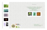 Caracterización Fisiológica y Bioquímica de las Respuestas ...citarea.cita-aragon.es/citarea/bitstream/10532/1097/1/10532-85_9.pdf · en relación al comportamiento del injerto