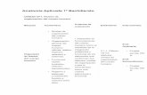 Anatomía Aplicada 1º Bachillerato · 2019-04-08 · multimedia. • Método científico: Elaboración de proyectos individuales y grupales, análisis razonados y valoración de