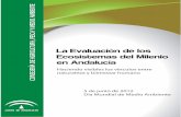La Evaluación de los Ecosistemas del Milenio en Andalucía · 2012-06-26 · La Evaluación de los Ecosistemas del Milenio en Andalucía Haciendo visibles los vínculos entre naturaleza