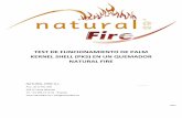 TEST DE FUNCIONAMIENTO DE PALM KERNEL SHELL (PKS) EN … · 2016-04-14 · Informe de ensayos PKS 3 info@naturalfire.es 1. INTRODUCCIÓN El presente informe pretende llevar a cabo