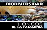 BiodiVeRSidad … · nombre, Hongos de Argentina, y una idea sencilla y poderosa: concientizar sobre la importancia de los hongos, su maravillosa biodiversidad y su infinidad de aplicaciones