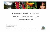 CAMBIO CLIMÁTICO Y SU IMPACTO EN EL SECTOR ENERGÉTICOintranet2.minem.gob.pe/web/archivos/ogp/GVEP/talleres/conamm.pdf · Andes y en sus cuencas de Bolivia, Ecuador y Perú |Ley
