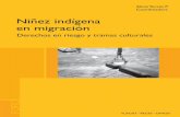 Niñez indígena en migración · 2014-01-29 · y la Oficina Regional de UNICEF para América Latina y el Caribe desa-rrollaron el proyecto de investigación “Migración y niñez