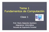 Tema 1 Fundamentos de Computación - webdelprofesor.ula.vewebdelprofesor.ula.ve/ciencias/kuongc/Informatica/Tema1_clase1PD… · supercomputadoras (varios millones de operaciones