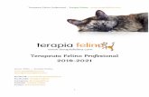 Terapeuta Felino Profesional 2019-2021...Terapeuta Felino Profesional - Terapia Felina - TEMARIO, FECHAS Y LUGARES DE LA FORMACIÓN MÓDULO 1. Sábado 16 y Domingo 17 de Febrero de