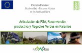 Articulación de PSA, Reconversión productiva y Negocios ... verdes paramo Humboldt.pdf · Negocios Verdes en Páramo: Diagnóstico •380 mil ha (13%) de los páramos con actividades