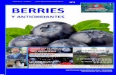 INSTITUTO - Observatorio Regional La Araucanía · producen distintos tipos de berries, siendo más de 100 agricultores a nivel regional. INDAP tiene apoyo en tres líneas: asesoría