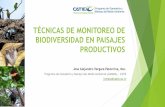 Técnicas de monitoreo de biodiversidad en …...TÉCNICAS DE MONITOREO DE BIODIVERSIDAD EN PAISAJES PRODUCTIVOS Jose Alejandro Vergara Paternina, Msc. Programa de Ganadería y Manejo