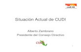 Situación Actual de CUDI · • El Consejo Directivo se reunió en seisEl Consejo Directivo se reunió en seis ocasiones para revisar los proyectos en proceso y la situación financiera