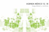 AGENDA MÉXICO 12 - Cidac - CIDAC · 2015-07-23 · Red de Observatorios Ciudadanos SOS, Lupa Ciudadana, Causa en Común, Fundación Ethos, Consejo Ciudadano de Seguridad Pública