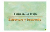 Tema 8. La Hoja Estructura y Desarrollo PDF/Tema 8_LaHoja Modificaciones.pdfEspinas y emergencias. Ejemplos: Berberis vulgaris (agracejo). Ilex aquifolium (acebo). Robinia pseudoacacia