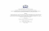 UNIVERSIDAD DE GUAYAQUIL FACULTAD DE CIENCIAS …repositorio.ug.edu.ec/bitstream/redug/19782/1/TESIS... · 2019-07-05 · i universidad de guayaquil facultad de ciencias administrativas