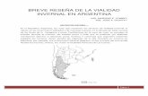 321A DE LA VIALIDAD INVERNAL EN ARGENTINA-VERSION 6.doc)vialidadinvernal.org.ar/pdfs/BREVE-RESEnA-VIALIDAD-IN... · 2017-08-02 · Página 1 BREVE RESEÑA DE LA VIALIDAD INVERNAL
