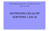 NUTRICIÓN CELULAR SUBTEMA 1 (de 3) · 2012-05-30 · Mecanismo de cotransporte: sodio-glucosa El sodio entra en la célula por difusión facilitada (a favor de gradiente) y arrastra