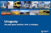 Uruguay - Ikaslan Gipuzkoa Económica (Heritage Foundation 2012) 2 29 Estabilidad Política (Banco Mundial [WGI] 2010) 1 49 Índice de transformación política y económica (Fundación