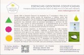 ESENCIAS GEOCROM CODIFICADAScat.institutogeocrom.net/wp-content/uploads/sites/4/2016/05/folleto... · Geocromoterapia sobre ciertos puntos de acupuntura y chakras, previo test energético