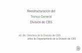 Reestructuración del Tronco General División de CBS€¦ · Biología general Biología humana Geografía y medio ambiente Salud Integral del adolescente I, II, III Informática
