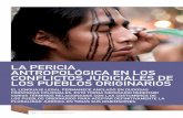 Voces en el Fénix - la pericia antropológica en los conflictos JuDiciales De … · 2013-06-12 · merecen el tratamiento multidisciplinar. Una es el tema de la cultura, como mapa