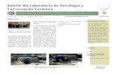 Boletín del Laboratorio de Petrología y Conservación Cerámicaarqueologia.unca.edu.ar/assets/boletin-lpcc-vol2-n-1-a2.pdf · 2019-02-06 · nal de americanistas, 19-24 2009, mexico.