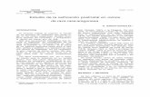 Estudio de la osificación postnatal en ovinos de …MUNIBE Recibido 15-IX-81 Sociedad de Ciencias ARANZADI San Sebastián Año 33 - Numero 3-4 - 1981. Páginas 259-279 Estudio de