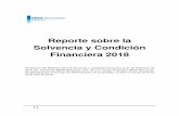 RSCF Reporte sobre la Solvencia y Condición Financiera ... · "El Informe del Reporte sobre la Solvencia y Condición Financiera al 31 de diciembre de 2018, de Pensiones BBVA Bancomer,