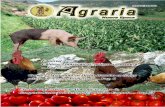 Revista Agraria · 2012-11-20 · Revista Agraria - Nueva Epoca- Año I · Vol. 1 · No. 3 · Septiembre - Diciembre 2004 2 Normas Editoriales Tipo de materiales para publicación