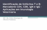 Identificação de linfócitos T e B: Marcadores CD4, CD8 ... · Identificação de linfócitos T e B: Marcadores CD4, CD8, IgM e IgG – Aplicações em Imunologia Veterinária MV.