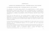 CAPÍTULO I ASPECTOS GENERALES DEL TURISMO EN EL …ri.ufg.edu.sv/jspui/bitstream/11592/7153/2/338.4791-C311d-Capitulo … · A. GENERALIDADES DEL TURISMO EN EL SALVADOR El Salvador